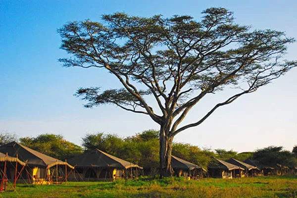 The safari lodges view during the 5-Day Tanzania Safari Tour Package
