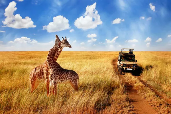 Best Tanzania Safari Combo Tour Packages