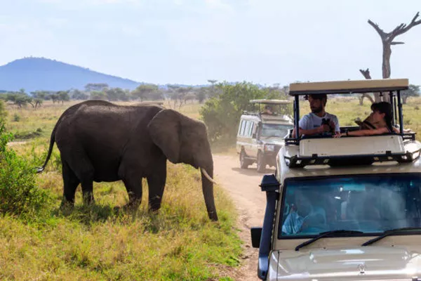 Tourists watching an elephant during Tanzania sharing safari tour in Ngorongoro